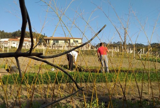 Curso Biointensivo básico en la escuela de agricultura de Tarragona